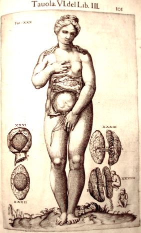 History (Story) of the Compositon of the Human Body